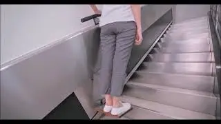 Plataforma Salva Escalera