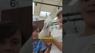 MARCOS COM A MEIA PRETA NA LOJA - Fam&iacute;lia Brancoala #Shorts