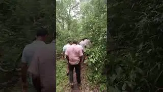 morning tracking video