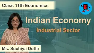 CBSE Class 11 Economics Indian Economy Industrial Sector |Extraminds