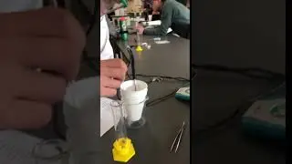 Hess Lab