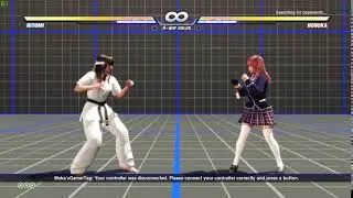 DoA6 Hitomi's Dead or Alive 4 stands/idle animation