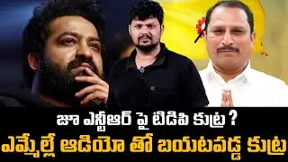 Jr NTR Fans Vs TDP MLA | Reason Behind TDP MLA audio leak on Jr NTR | Mr Rama