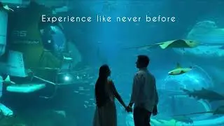 Don&rsquo;t Miss This in Dubai 2026 | Must watch Travel Teaser | UAE 