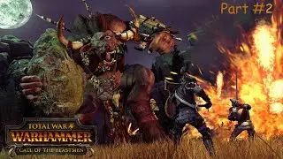 Total War  WARHAMMER  Call Of The Beastmen Part #2. 2023 10 20