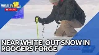 Near white-out conditions in Rodgers Forge