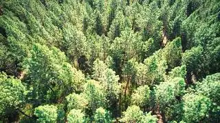 Acreage Lot for sale in Garden Valley  Lot 67 Shadow Ridge  Preview of Homes TV