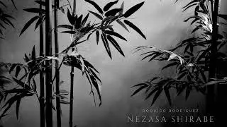 Nezasa Shirabe - Rodrigo Rodriguez [Shakuhachi]