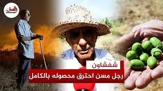 قصة فلاح مسن خسر بستان زيتونه في حريق غابة دردارة ضواحي شفشاون