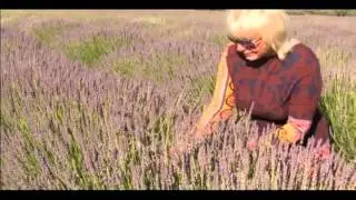LAVENDER RANCH - Walk the Fields with us video NEW