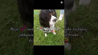 oddaje do końca roku!💞