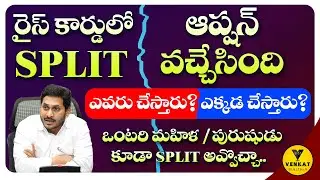 Rice Card Split Option |Ap Rice Card Single person Split Details | Ration card split Option Update