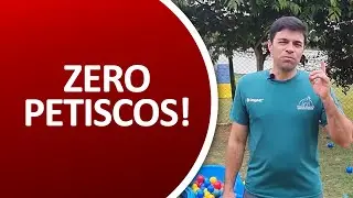 COMO FAZER MEU CÃO OBEDECER SEM PETISCOS!