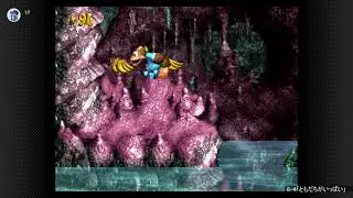 【スーパードンキーコング3】BGM 洞窟ステージ 【100分耐久】