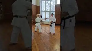 Kobudo unusual technique epee thrust Sai 釵 / Sensei Roman Stepin Rykyu Kobudo
