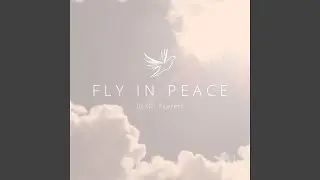 Fly in peace