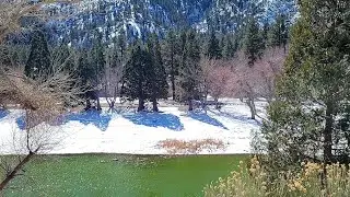 Jackson Lake is a sag pond created by the San Andreas Fault in the San Gabriel Mountains