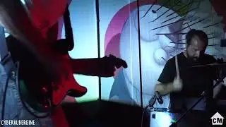 The Black Flamingo Ayahuasca Live: @Casematte AQ 2023