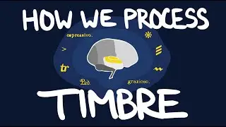 Как мы обрабатываем тембр (тон) | Нейробиология для музыкантов