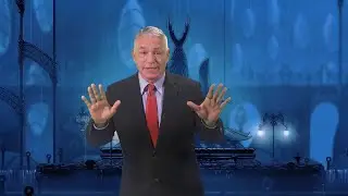 Attention All Hollow Knight Fans!