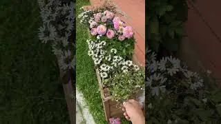 Ошибки кадочного оформления 🫠