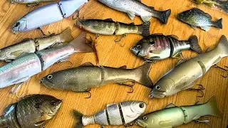 Swimbait Fishing Seminar (For Beginners to Advanced Anglers) Live Round Table