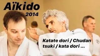 Aikido - Katate dori / Chudan tsuki / kata dori ...Bruno Gonzalez 2014