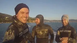 pescasub: Il grande sciame d'orate...con thorpedo invert 93