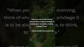 Marcus Aurelius, 2nd century AD.