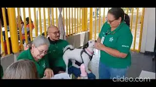 video Jornada de formaci&oacute;n TSAE