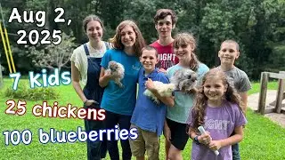 Day in the Life Summer Edition! || Single Mom on Blueberry Farm
