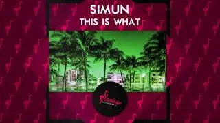 Simun - This is What (Flamingo Recordings)