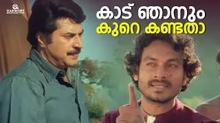 കാട് ഞാനും കുറെ കണ്ടതാ | Aparichithan Movie Scene |  Mammootty | Kavya Madhavan | Salim Kumar