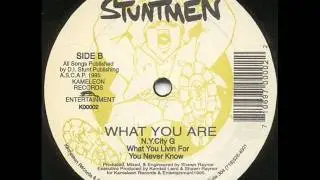 Dangerous ILL Stuntmen - N.Y. City G