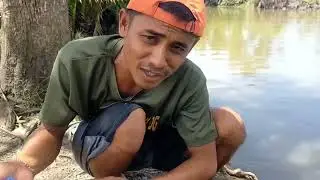 We Caught more Shrimps using amazing Plastic Bottle Trap. | Catch & Cook.