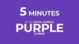 5 Minute of Royal Purple Screen | Chroma Relax #purple #purplescreen #violate #bluescreenvideos