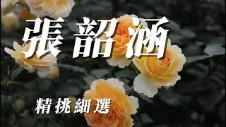 （張韶涵）精挑細選＂（希望朋友喜歡）謝謝🐶🐶🐶🐱🦁🐯