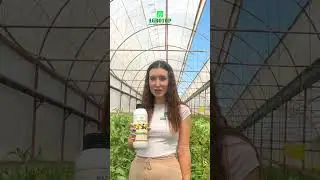 Наш cпециалист по удобрениям Алёна вам представит наш корневой стимулятор ROOT POWER.