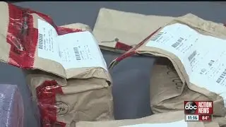 Pasco detectives infiltrate world of child porn