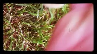 Trailer minblock gaurds