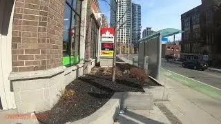 Tibetans Protest On Bloor Street - Daily Delivery Earnings DAY 55 - Toronto MARCH 10 2022