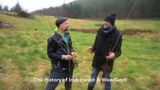 Wolfgang Reforest - Winter 2022 Update
