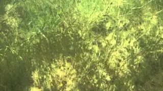 H&ouml;gholmen (norra K&auml;rs&ouml;n)