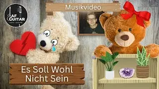 Florian Asenkerschbaumer - Es Soll Wohl Nicht Sein [2021] (Official Music Video)