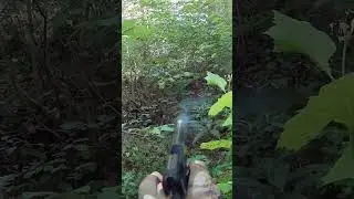 Gas blowbacks are GOATED! (ELITE FORCE 1911) #shorts #airsoft #elite force 1911 #pistol