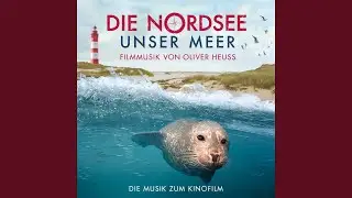 Nordsee Titelthema