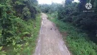 Jalan trans papua Ruas airu _muara nawa