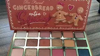 Палитра TooFaced gingerbread extra sharp: с образцами