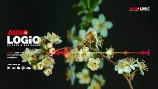 Audio Logic | Elevate &ndash; LiQWYD (No Copyright Sound)