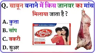 Gk Questions And Answers || Gk in Hindi || General Knowledge || Gk Quiz || NNB GK STUDY